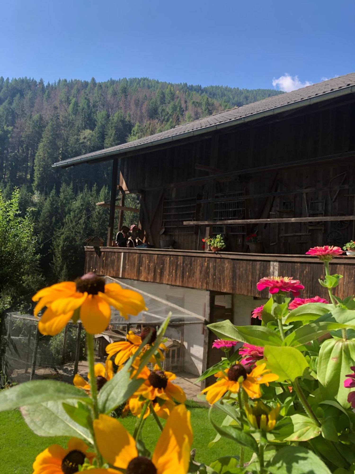 Ferienwohnung Thalerhof Sankt Lorenzen Exterior foto