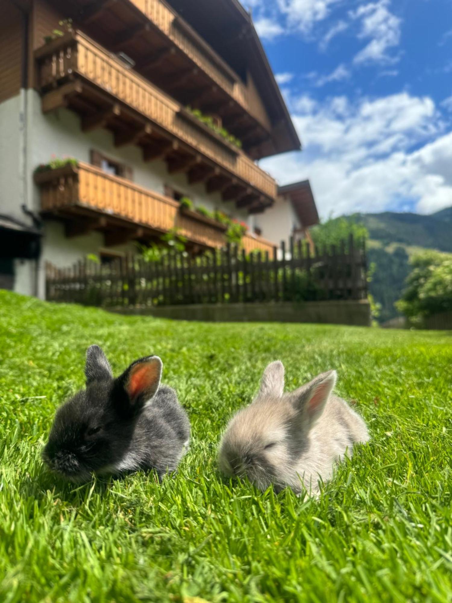 Ferienwohnung Thalerhof Sankt Lorenzen Exterior foto