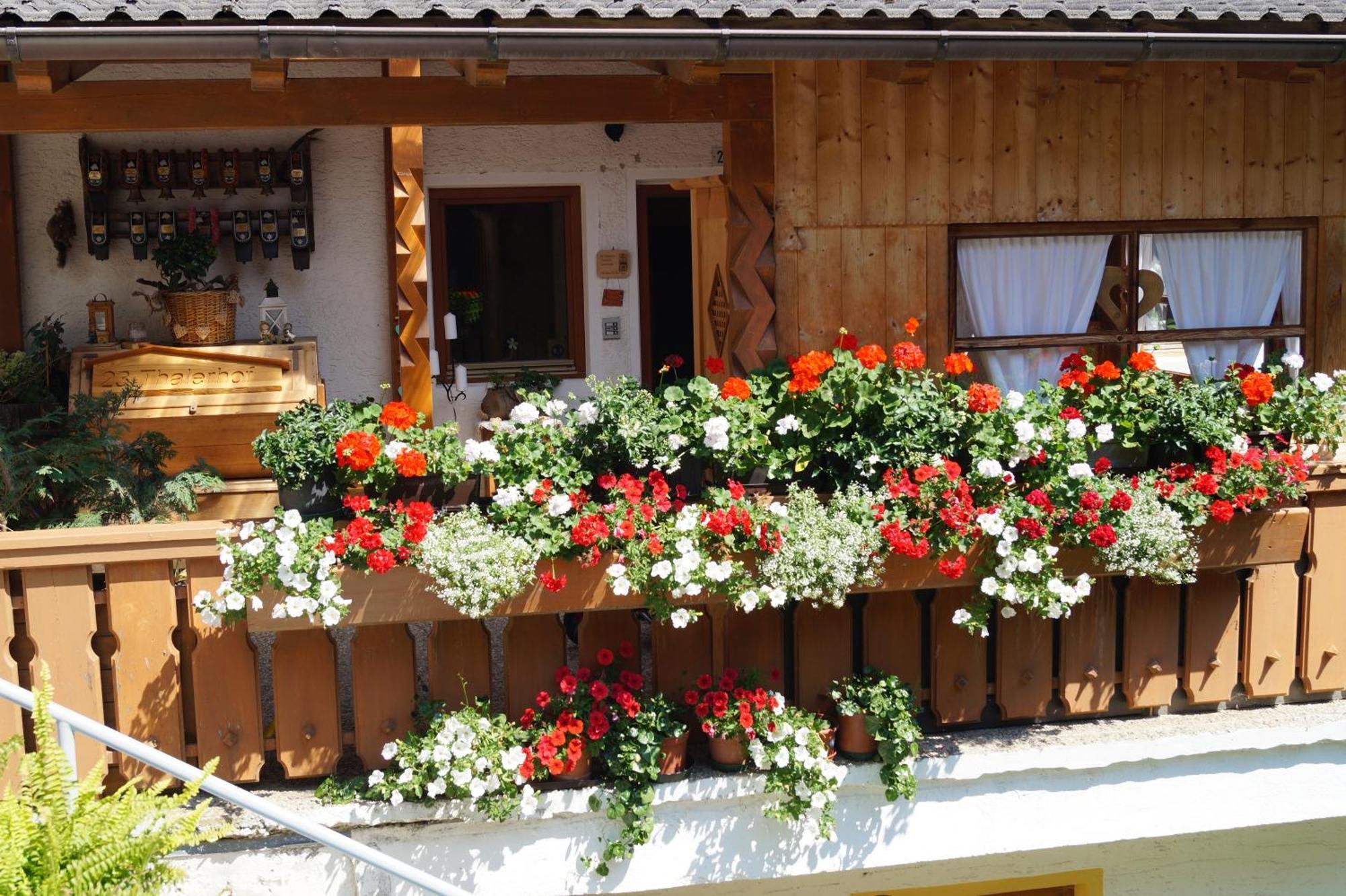 Ferienwohnung Thalerhof Sankt Lorenzen Exterior foto